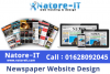 Newspaper Website Design